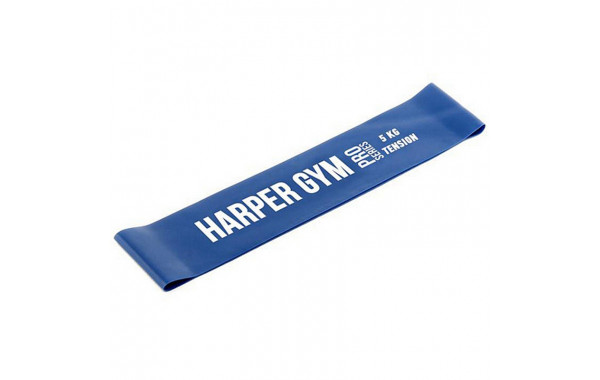 Эспандер для фитнеса замкнутый, нагрузка 5кг Harper Gym Pro Series NT961Q 600_380