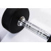 Гантели в уретане 6 кг Live Pro Studio Dumbbells LP8075-06 75_75