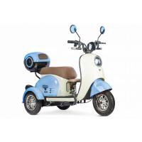 Трицикл RuTrike Шкипер New 024134-2638 сине-белый