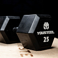 Гантель обрезиненная YouSteel HEX DB 30 кг 120_120